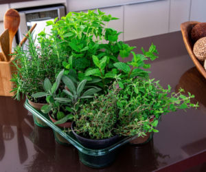 7 sposobów, jak przechowywać zioła, żeby były świeże dłużej
