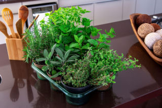 7 sposobów, jak przechowywać zioła, żeby były świeże dłużej