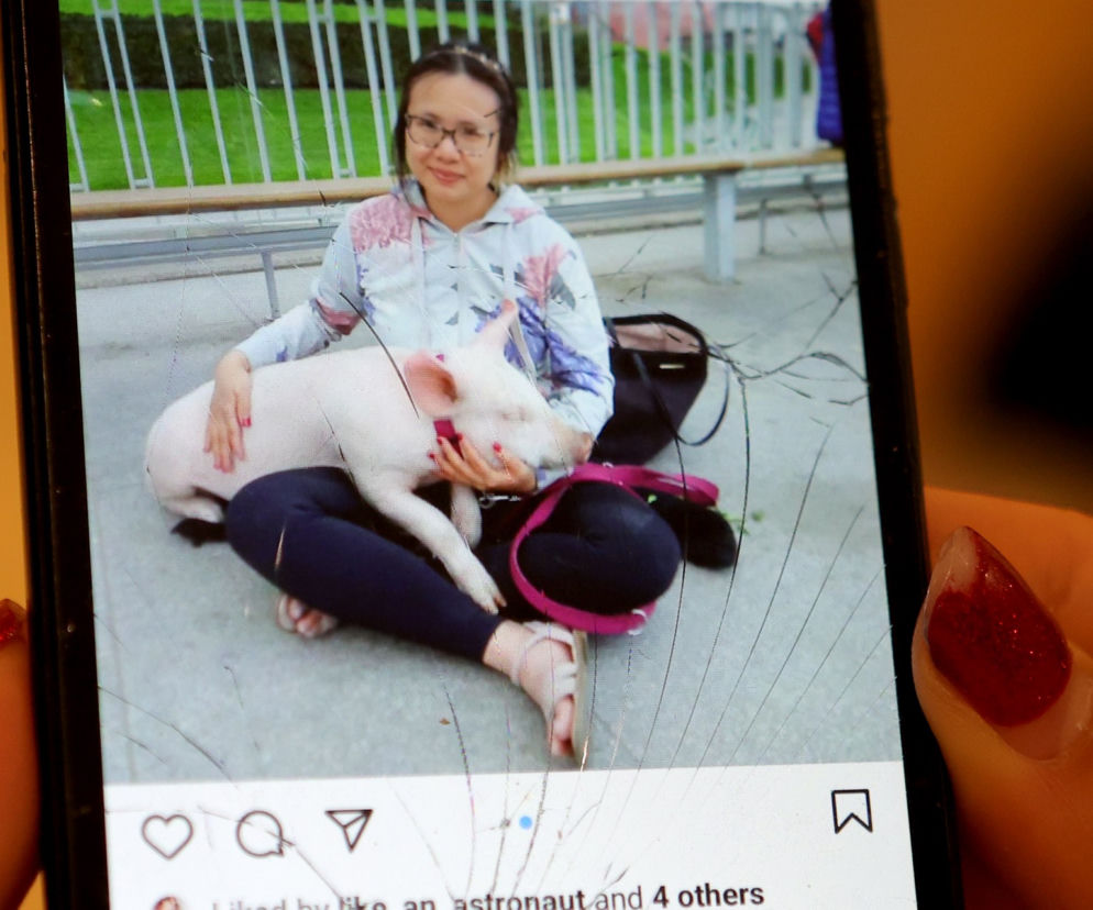 Świnia skradziona w centrum Warszawy