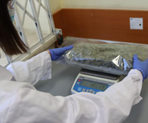 Policjanci zabezpieczyli prawie 20 kg narkotyków o wartości blisko 2 mln złotych