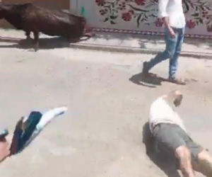 Szokujące sceny podczas gonitwy byków. Mężczyzna oszukał przeznaczenie