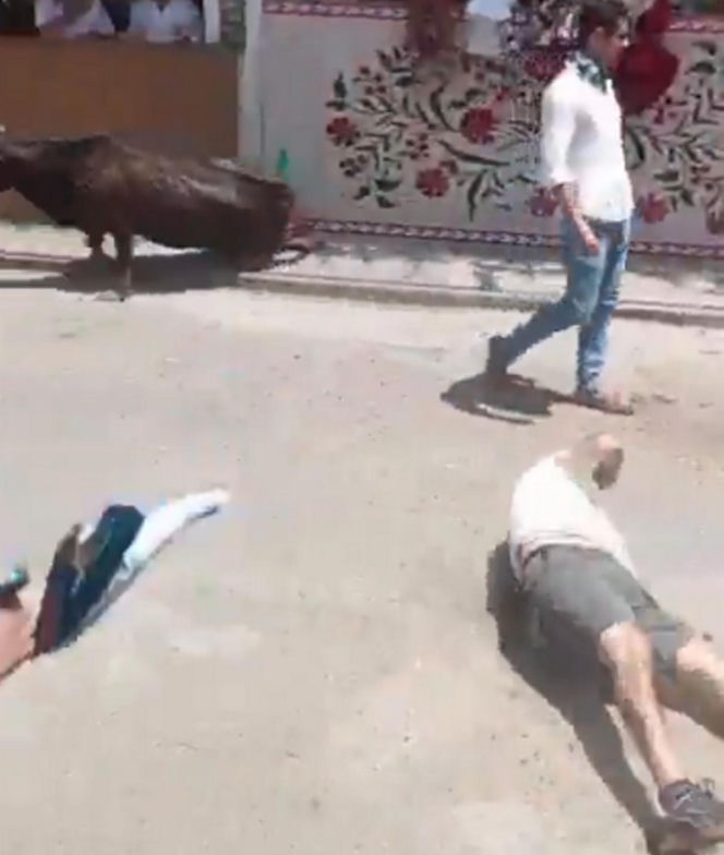Szokujące sceny podczas gonitwy byków. Mężczyzna oszukał przeznaczenie