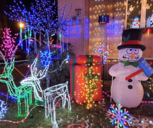 Odlotowy ogród na Bielanach. Niesamowite iluminacje!  