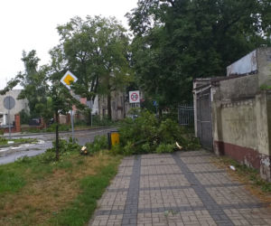 Burza w Płocku