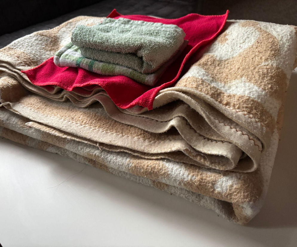 Masz stare koce i ręczniki? Oddaj do schroniska dla psów w Nowym Sączu