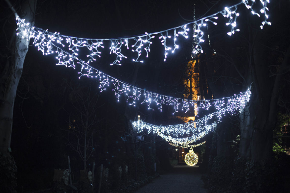 Lasery, muzyka i kolorowe iluminacje w Ogrodzie Botanicznym we Wrocławiu