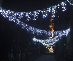 Lasery, muzyka i kolorowe iluminacje w Ogrodzie Botanicznym we Wrocławiu