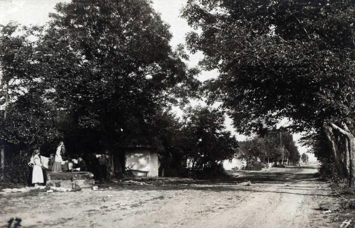 Chełm