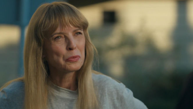 Barwy szczęścia odc. 3311. Agnieszka (Katarzyna Tlałka)