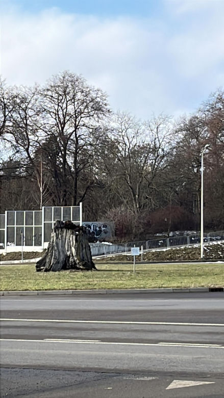 Co jest nie tak z tym rondem w Lublinie? Same wypadki i kolizje. "Wszystko powinno być OK"