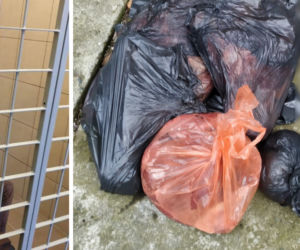 Zatrzymali go za narkotyki. W trakcie przeszukania domu znaleźli ODCIĘTE GŁOWY