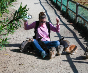 Wyspa, na której żyje więcej królików niż ludzi. Ma mroczną przeszłość