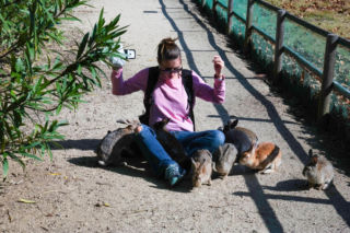 Wyspa, na której żyje więcej królików niż ludzi. Ma mroczną przeszłość