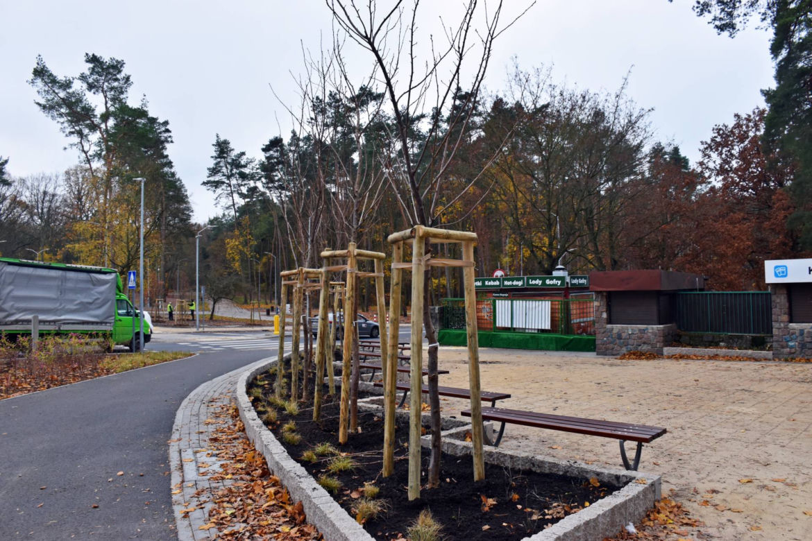 Nowe nasadzenia na węźle Głębokie
