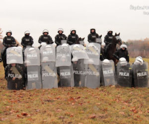 Konie służbowe śląskiej policji przeszły szkolenie. Musiały wytrzymać odgłosy wystrzałów czy ujadanie psów