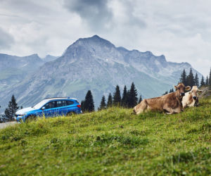BMW X1 xDrive25e