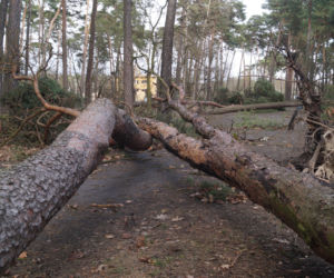 Niszczycielska wichura w Bydgoszczy [ZDJĘCIA]