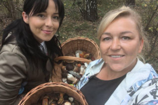 Deszcz spadł, ale zrobiło się zimno. Jaka jest aktualna sytuacja grzybowa w Świętokrzyskiem?