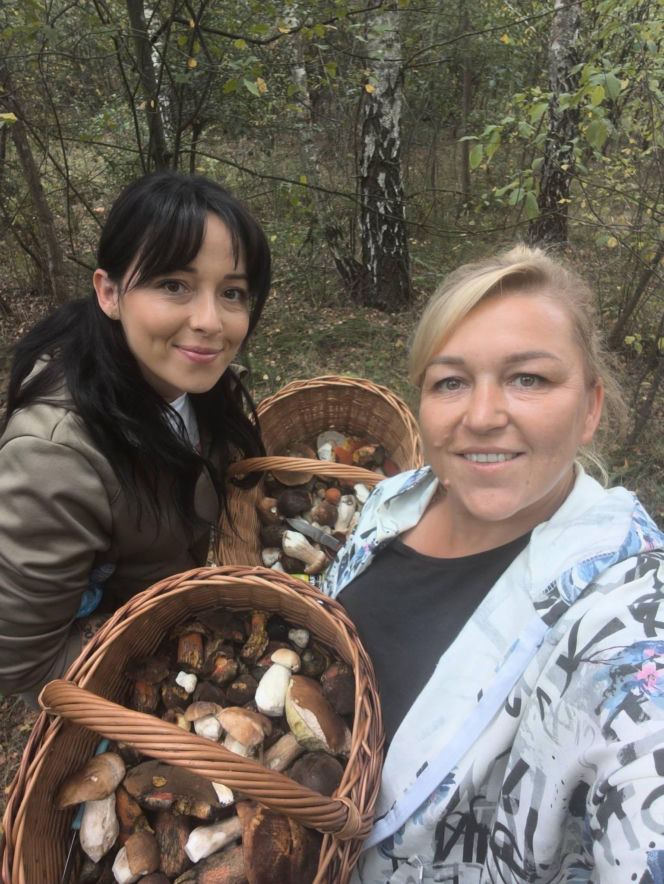 Deszcz spadł, ale zrobiło się zimno. Jaka jest aktualna sytuacja grzybowa w Świętokrzyskiem?