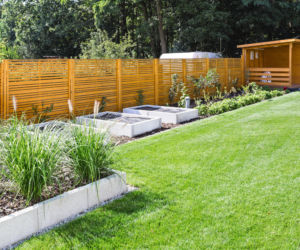 Zastosuj ten nawóz przed Wielkanocą. Na majówkę trawa będzie zachwycać soczystą zielenią