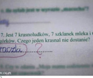 Nauczyciel płakał ze śmiechu jak sprawdzał. Te odpowiedzi z klasówek to HIT! [GALERIA]