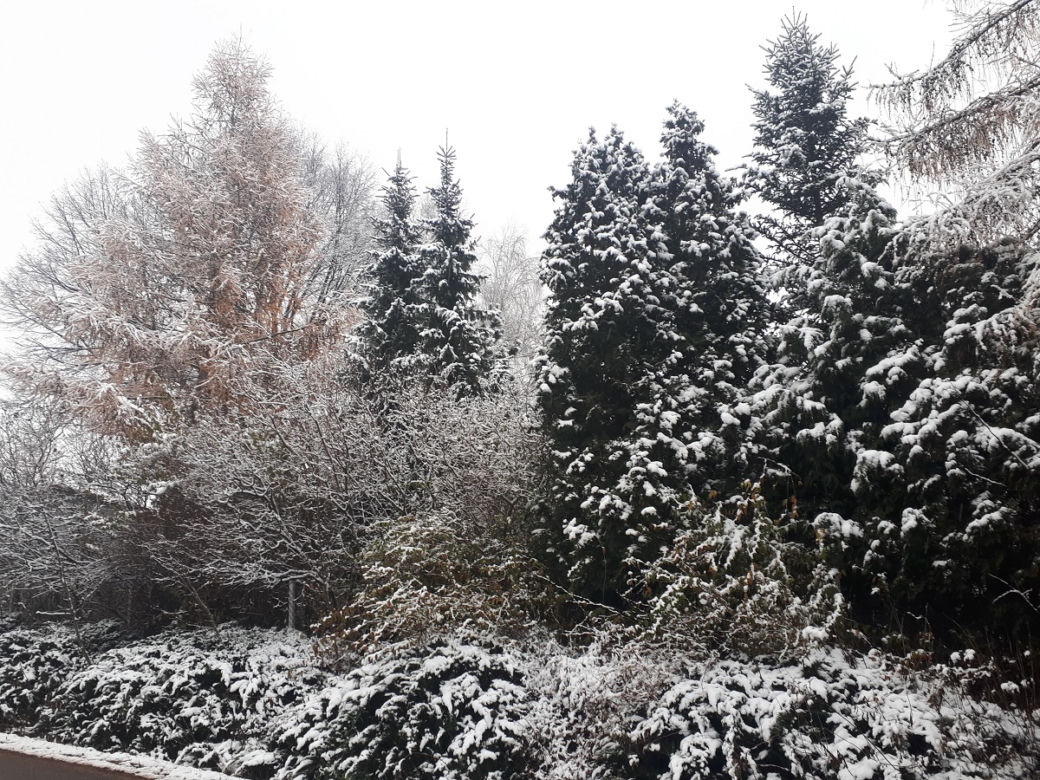 Piękna zima na Podkarpaciu. Sypnęło śniegiem [ZDJĘCIA]