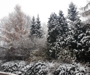 Piękna zima na Podkarpaciu. Sypnęło śniegiem [ZDJĘCIA]