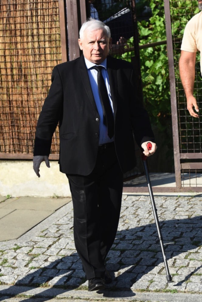 KACZYŃSKI SZUKA KRETA W PIS