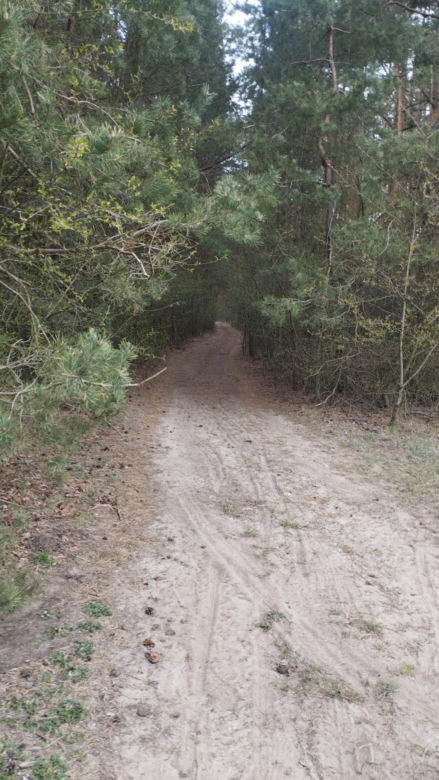 Kobieta spadła z konia pod Radomskiem. Strażacy nieśli ją na noszach 0,5 kilometra [ZDJĘCIA].