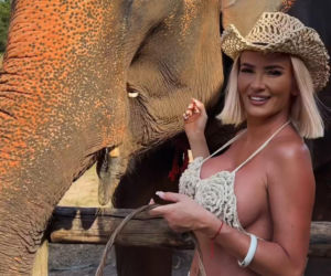 Gwiazdy witają nowy rok w bikini