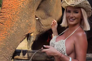 Gwiazdy witają nowy rok w bikini