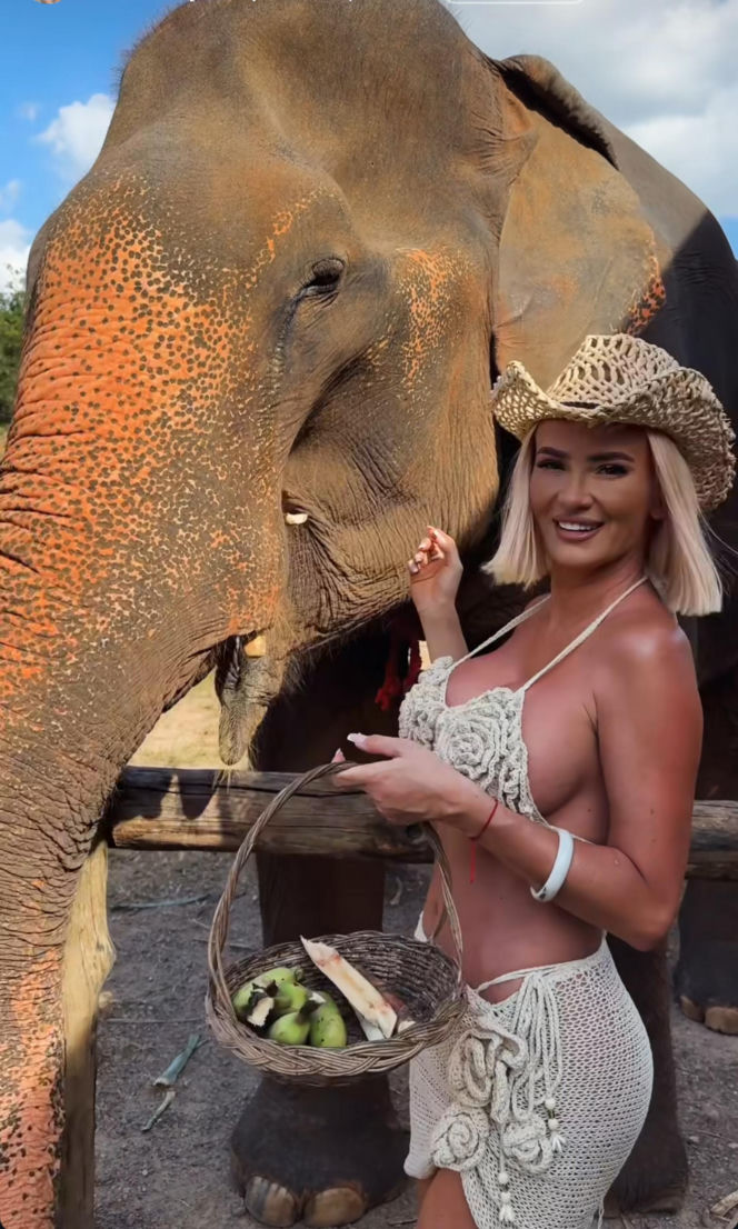 Gwiazdy witają nowy rok w bikini