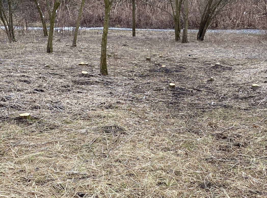 Alpy. Hałda przy Parku Wełnowieckim