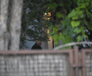 Prezes się wyprowadził, kuzyn Jan Maria Tomaszewski randkuje
