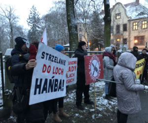Solidarni z dzikami
