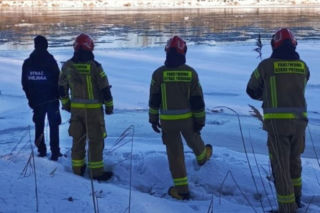 Łabędź przymarzł do lodu na Wiśle