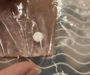 Zwyrodnialec truje zwierzęta w Katowicach! Utrata wzroku, piana z pyska i padaczka