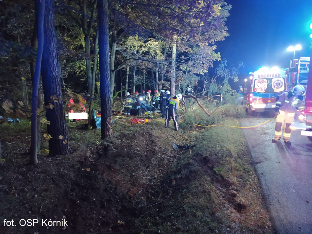ŚMIERĆ dwóch 18-latków! Nocny dramat na drodze pod Poznaniem