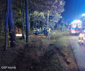 ŚMIERĆ dwóch 18-latków! Nocny dramat na drodze pod Poznaniem