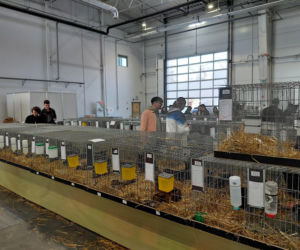 Zoopark Lublin 14.03.26