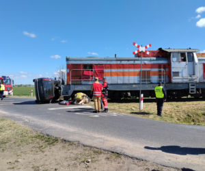 Ćwiczenia Medyk 2026