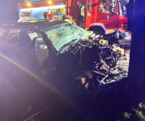 Potworny wypadek! Audi uderzył w drzewo, nie żyje 38-latek