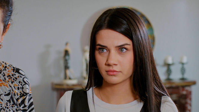 Miłość i nadzieja, odcinek 328. Bahar, Cavidan