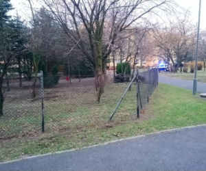 Dziki grasowały na placu zabaw w Poznaniu