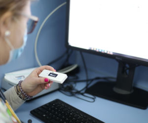 Ukraińskie psy i koty ze schronisk trafią do Katowic. Będą je leczyć nieodpłatnie śląskie kliniki weterynaryjne