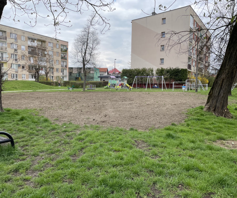 Park przy ul. Kraszewskiego w Nowym Sączu 