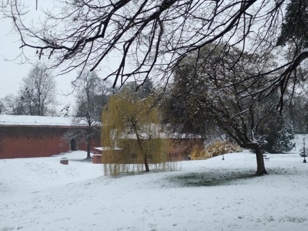 Zima w kwietniowym Zamościu. Sypnęło śniegiem