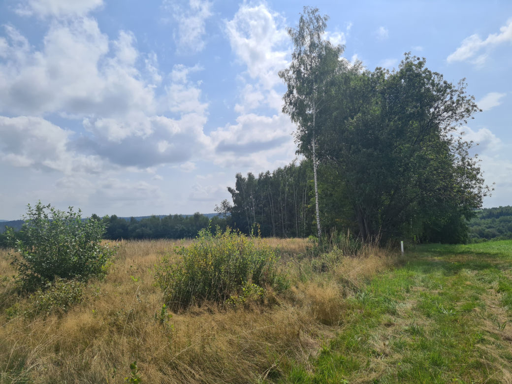 Zabójstwo w Sołonce. Mąż miał zabić żonę [GALERIA]