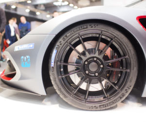 Arrinera Hussarya