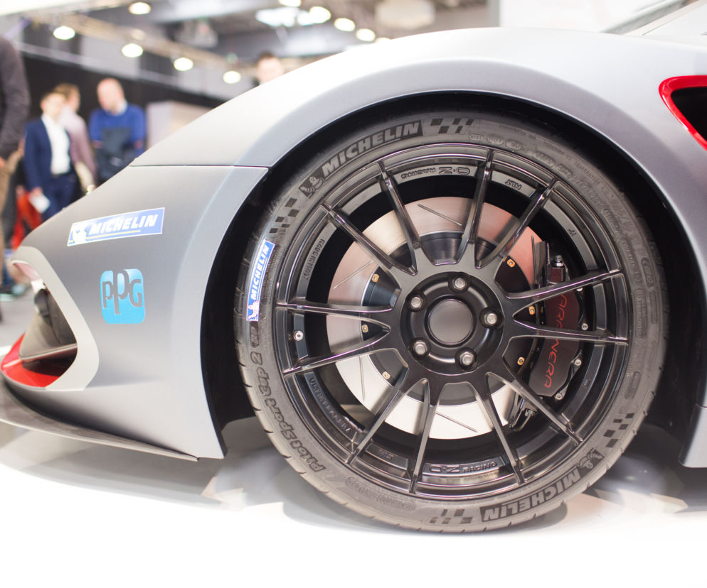 Arrinera Hussarya